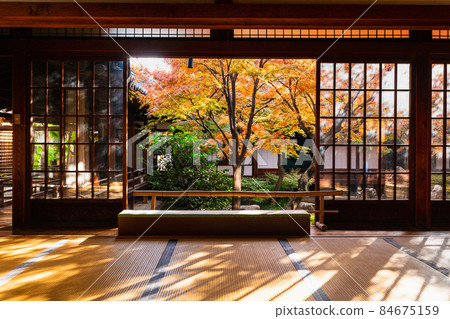 秋季京都建仁寺紫根庭園 秋季京都建仁寺紫根庭園 84675159