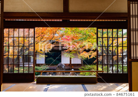 秋季京都建仁寺紫根庭園 84675161