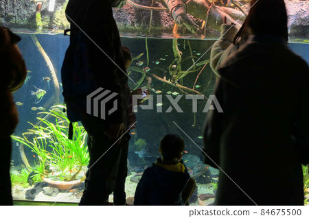 Aquarium image crowded people watching Aquarium image crowded people watching 84675500