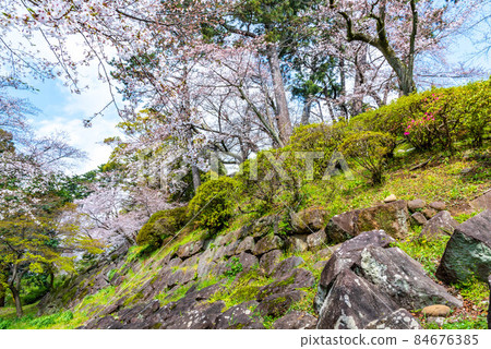 小田原城，主圈的石牆滑落 84676385