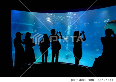 Marine aquarium with visitor silhouettes Marine aquarium with visitor silhouettes 84676733