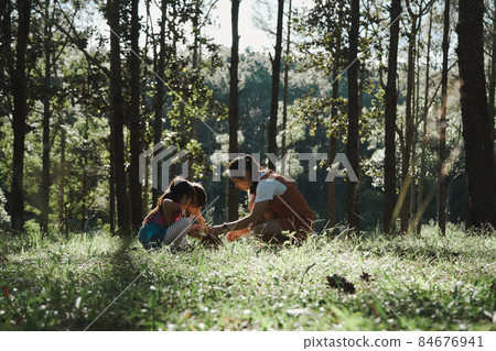 Mother and two daughters collecting firewood and kindling bonfire at camping place in forest. Family and children making campfire on nature woods. Family camping, spending time together on vacation. 84676941