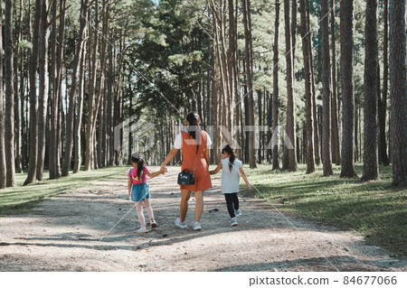 Mother and two daughters holding hands and take a walk in the pine forest on a spring day. 84677066