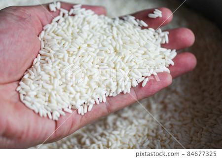 Jasmine white rice on hand in sack, harvest rice and food grains cooking concept 84677325