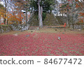 Maples piled up in front of the castle tower of Takatori Castle 84677472