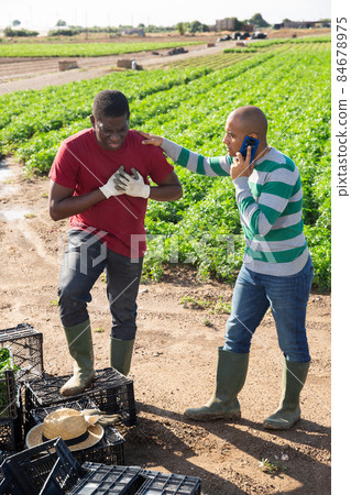 African gardener feeling chest pain, latin partner calling doctor African gardener feeling chest pain, latin partner calling doctor 84678975