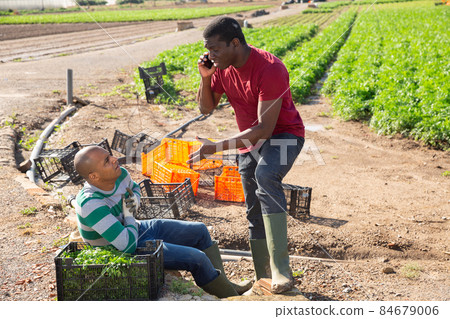 Aframerican gardener calling health professional for hispanic friend Aframerican gardener calling health professional for hispanic friend 84679006