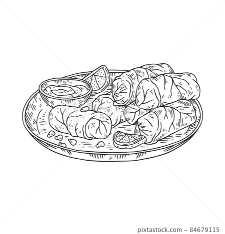 Dolma or dolmades dish with stuffed grape or cabbage leaves, sketch vector illustration isolated on white background. 84679115
