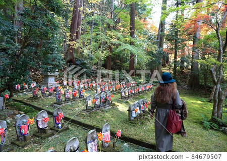 秋天的松峰山金剛林寺107(滋賀縣愛知郡:江東三山) 秋天的松峰山金剛林寺107(滋賀縣愛知郡:江東三山) 84679507
