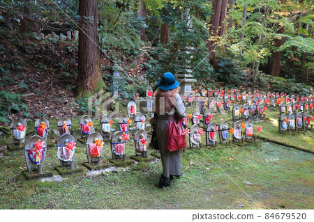 Autumn Matsumineyama Kongorinji Temple 114 (Aichi-gun, Shiga Prefecture: Koto Sanzan) Autumn Matsumineyama Kongorinji Temple 114 (Aichi-gun, Shiga Prefecture: Koto Sanzan) 84679520