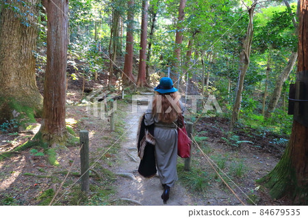 Autumn Matsumineyama Kongorinji Temple 128 (Aichi-gun, Shiga Prefecture: Koto Sanzan) 84679535