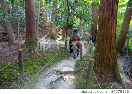 Autumn Matsumineyama Kongorinji Temple 129 (Aichi-gun, Shiga Prefecture: Koto Sanzan) 84679536