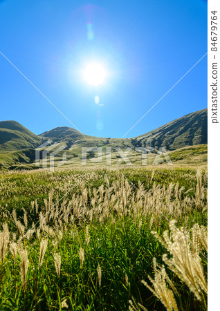 Refreshing nature "Road to Mt. Aso" Morning sky and pampas grass / morning sun Refreshing nature "Road to Mt. Aso" Morning sky and pampas grass / morning sun 84679764