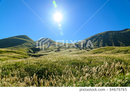 Refreshing nature "Road to Mt. Aso" Morning sky and pampas grass / morning sun 84679765