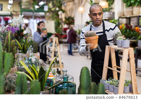 Positive man holding a potteds with cactuses in shop Positive man holding a potteds with cactuses in shop 84679813