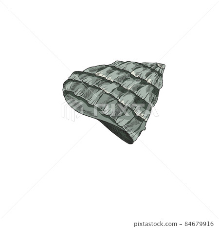 Sea mollusk shell engraving vintage style vector illustration isolated. Sea mollusk shell engraving vintage style vector illustration isolated. 84679916