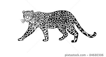Big Wild Cat Art. Spotted Color for your design 84680306
