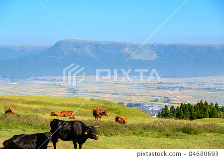 Refreshing nature "Grazing scenery of Mt. Aso" Grazing scenery "Grazing scenery" against the background of the early morning sky Refreshing nature "Grazing scenery of Mt. Aso" Grazing scenery "Grazing scenery" against the background of the early morning sky 84680693