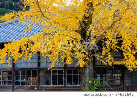 美濃分校 84681642