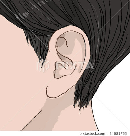 Profile, ears, neckline, sideburns, body Profile, ears, neckline, sideburns, body 84681763