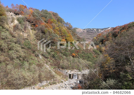 From the suspension bridge to the autumn leaves of Hakusan mountain climbing entrance and Betsuto encounter (Hakusan City, Ishikawa Prefecture) 84682066
