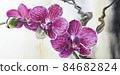 Close-up of pink orchid flowers on a branch 84682824