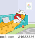 White bull terrier puppy sitting on the couch, ball toy on the floor with carpet. 84682826