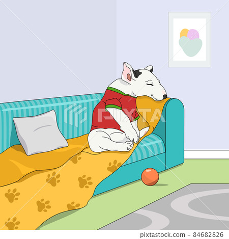 White bull terrier puppy sitting on the couch, ball toy on the floor with carpet. White bull terrier puppy sitting on the couch, ball toy on the floor with carpet. 84682826