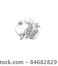 Outlines of ripe Garnet isolated on a white background. 84682829