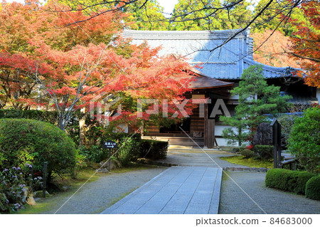 Autumn Matsumineyama Kongorinji Temple 177 (Aichi-gun, Shiga Prefecture: Koto Sanzan) 84683000