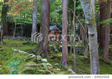 秋天的松峰山金剛林寺185(滋賀縣愛知郡:江東三山) 秋天的松峰山金剛林寺185(滋賀縣愛知郡:江東三山) 84683008