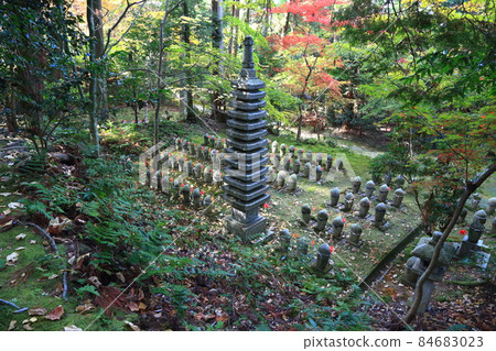 Autumn Matsumineyama Kongorinji Temple Walk 200 (Aichi-gun, Shiga Prefecture: Koto Sanzan) 84683023