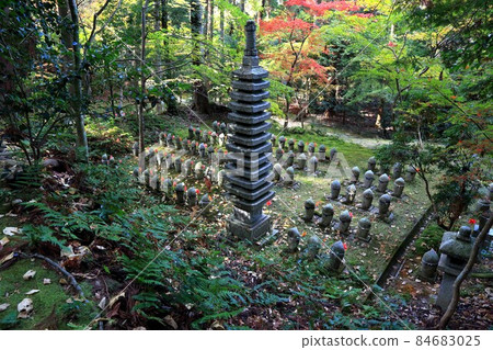 Autumn Matsumineyama Kongorinji Temple Walk 202 (Aichi-gun, Shiga Prefecture: Koto Sanzan) Autumn Matsumineyama Kongorinji Temple Walk 202 (Aichi-gun, Shiga Prefecture: Koto Sanzan) 84683025