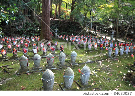 Autumn Matsumineyama Kongorinji Temple Walk 204 (Aichi-gun, Shiga Prefecture: Koto Sanzan) Autumn Matsumineyama Kongorinji Temple Walk 204 (Aichi-gun, Shiga Prefecture: Koto Sanzan) 84683027