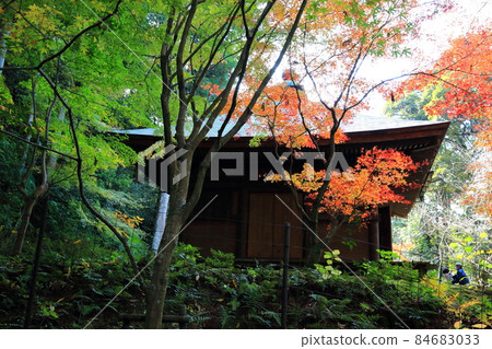 Autumn Matsumineyama Kongorinji Temple 210 (Aichi-gun, Shiga Prefecture: Koto Sanzan) 84683033