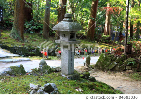 Autumn Matsumineyama Kongorinji Temple Walk 213 (Aichi-gun, Shiga Prefecture: Koto Sanzan) 84683036
