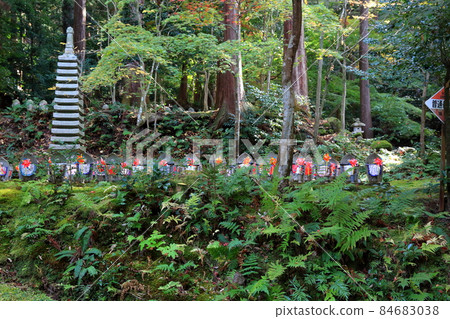 Autumn Matsumineyama Kongorinji Temple 215 (Aichi-gun, Shiga Prefecture: Koto Sanzan) 84683038