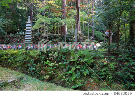Autumn Matsumineyama Kongorinji Temple 216 (Aichi-gun, Shiga Prefecture: Koto Sanzan) 84683039
