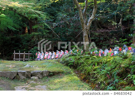 秋天的松峰山金剛林寺步道218（滋賀縣愛知郡：江東三山） 84683042