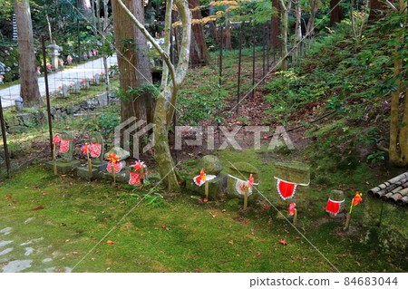 Autumn Matsumineyama Kongorinji Temple Walk 220 (Aichi-gun, Shiga Prefecture: Koto Sanzan) 84683044