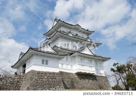 小田原城堡城堡塔 小田原城堡城堡塔 84683713