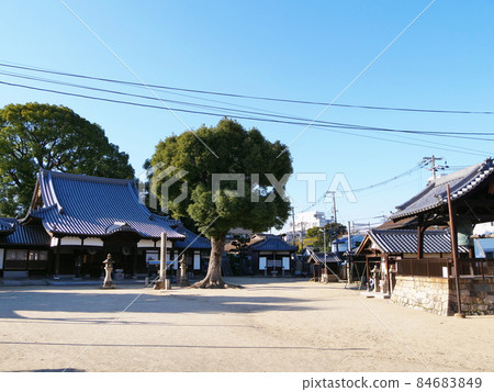 Jokoji Main Hall, Yao City, Osaka (early winter) Jokoji Main Hall, Yao City, Osaka (early winter) 84683849