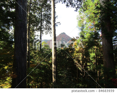 Mitake Shrine Okunoin 84683939