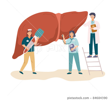 Doctor and nurse examine liver with stethoscope, flat vector illustration isolated on white background. Doctor and nurse examine liver with stethoscope, flat vector illustration isolated on white background. 84684390