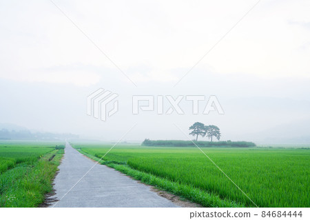 Pyeongsari Field Pyeongsari Field 84684444