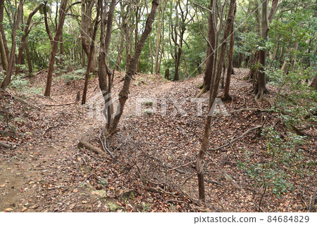 鐮田城跡:騎馬的土橋 鐮田城跡:騎馬的土橋 84684829