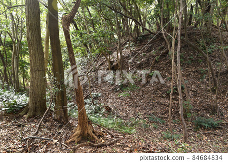 留在鐮田城遺址的空護城河 留在鐮田城遺址的空護城河 84684834