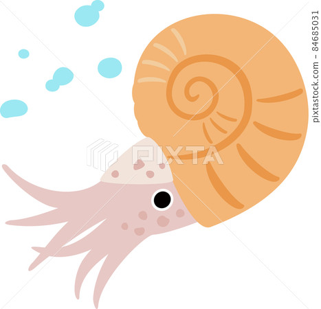 Underwater ammonite 84685031