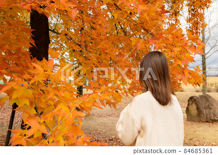 A woman looking up at a tree with autumn leaves A woman looking up at a tree with autumn leaves 84685361