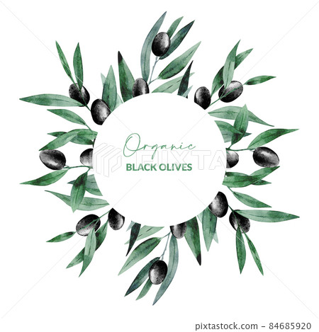 Round frame with watercolor black olives. Hand drawn illustration of olea tree for packaging design, greeting card and oil label. Round frame with watercolor black olives. Hand drawn illustration of olea tree for packaging design, greeting card and oil label. 84685920